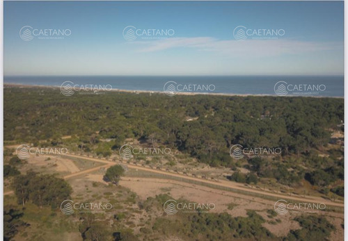 Venta Terrenos Nuevo Barrio Cerrado Ubicado A 400 Metros Del Ingreso A José Ignacio.