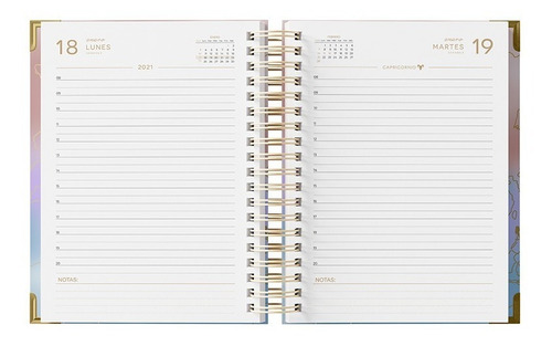 Agenda A5 Diaria 2021 Fw Línea Rose Premium