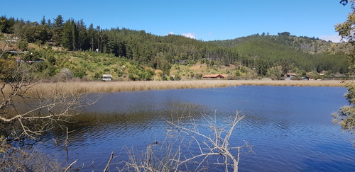 Imagen 5 de 30 de Oferta Terreno En Laguna Torca Lago Vichuquén