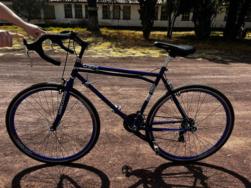 Bicicleta Rodada 28