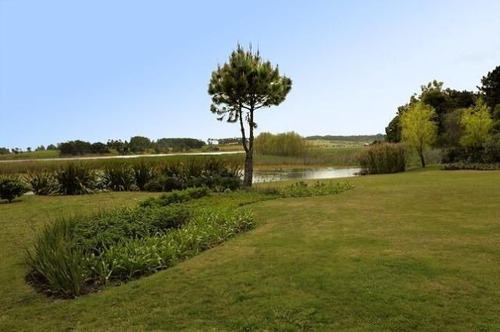 Imagen 4 de 16 de Terreno En Venta En Laguna Blanca