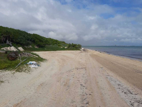 Imagen 6 de 15 de Excelente Terreno Frente Al Mar Ideal Para Hotel O Proyecto De Condominio P3148