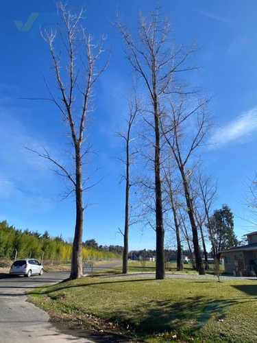 Imagen 11 de 23 de Terreno - Countries/b.cerrado (manzanares)
