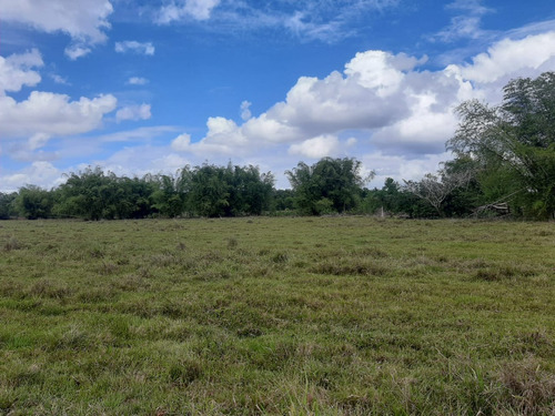 Vendo Finca En Bayaguana De 4,995 Tareas Tiene Mucha Agua Le Bordea El Rio Yavacao Incluye 200 Cabezas De Ganado