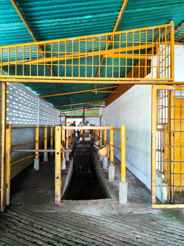 Se Vende Finca En Michelena