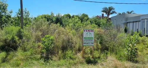 Hermoso Terreno De 500 Mts2 Con 18 Mts De Frente Sobre Calle Lussich