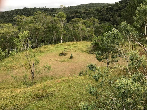 Imagem 10 de 21 de Rural Para Venda, 0 Dormitórios, Dos Pereiras (caucaia Do Alto) - Cotia - 2886