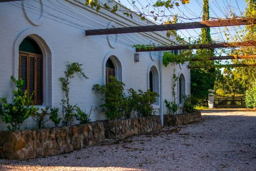 Imagen 3 de 23 de Campos O Chacras Venta Piriápolis