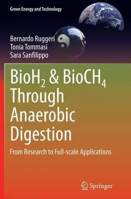 Libro Bioh2 & Bioch4 Through Anaerobic Digestion - Bernar...