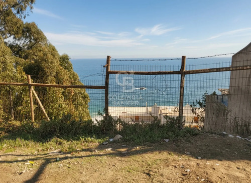 Sitio Urbano Reñaca Vista Despejada Para Construir