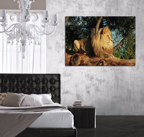 Vinilo Decorativo 40x60cm Leon Animal Naturaleza