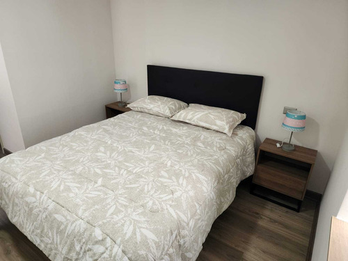 Arriendo Amoblado Nuevo Centro Concepcion (84964)