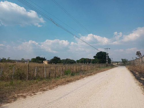 Terreno Agroindustrial En Tinaquillo, Cerca Del Parque Picapiedra.