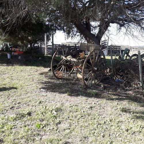 Imagen 5 de 29 de Maldonado Campo Con 150 Has Ganaderas En Aigua, 70 Kms De Punta, Serrano, Pintoresco, Con Instalaciones