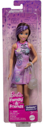 Boneca E Acessório Skipper Barbie Family & Friends, Skipper