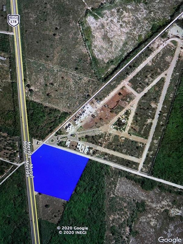Imagen 3 de 4 de Terreno En Venta Al Norte De Mérida - Carretera Mérida-motul Km 7