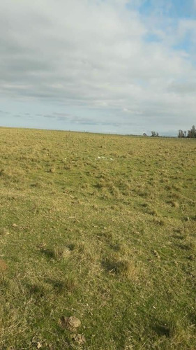 Chacra De 7 Has 2135 M2 Puntas De José Ignacio