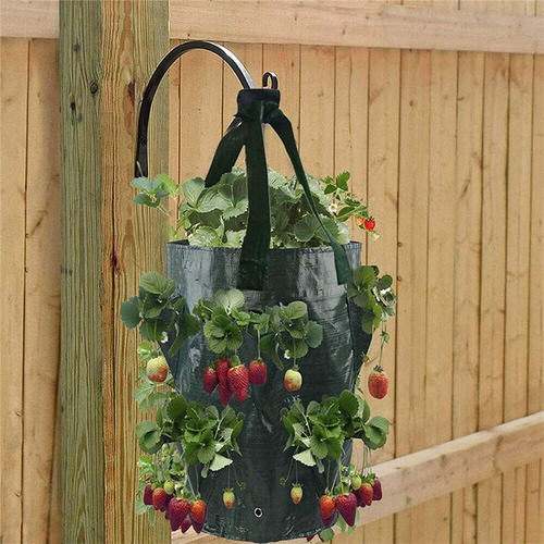 . Bolsa Para De Fresas De 3 Galones, Bolsa Transpirable