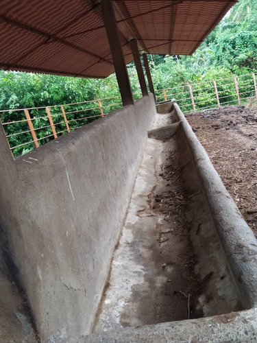 Imagen 2 de 20 de Finca Ganadera En Yaracuy Nirgua Productiva