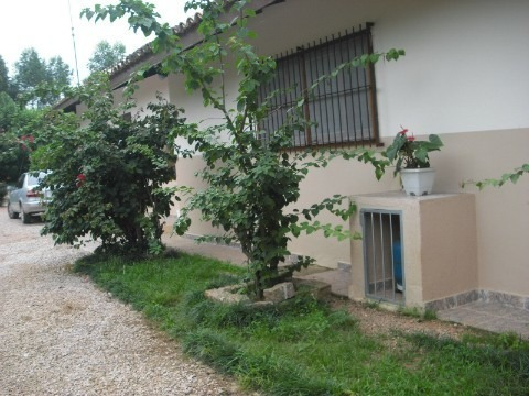 Rural - Venda - Santa Gertrudes - Cod. 81 - V81