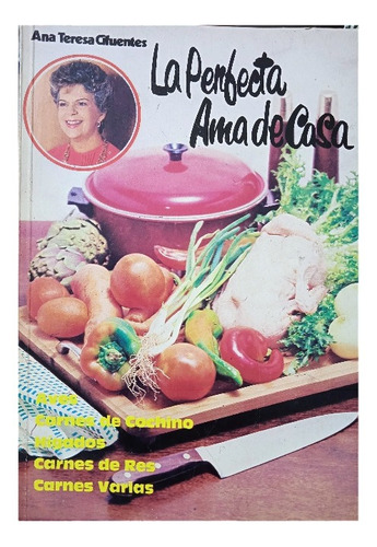 Recetario De Carnes La Perfecta Ama De Casa Ana T. Cifuentes