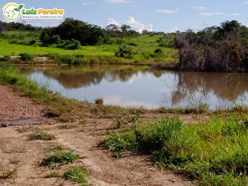 Imagem 7 de 15 de Fazenda Em Breu Branco - Pa - 2.584,56 Hectares (dupla Aptidão) - 2158