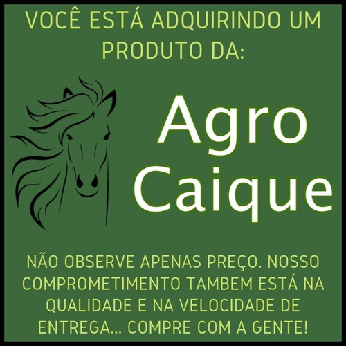 Faca Gaúcha Churrasco 7 Aço Carbono Cabo De Chifre E Madeira