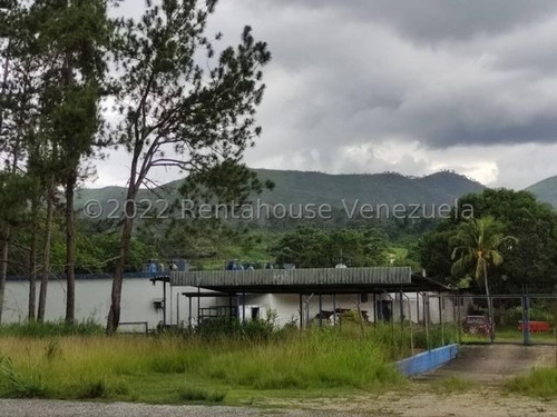 Imagen 5 de 20 de Finca Avicola En Venta Bejuma Carabobo