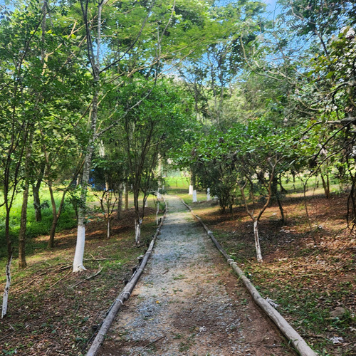 Terreno Aldeia Da Serra - Mosaico