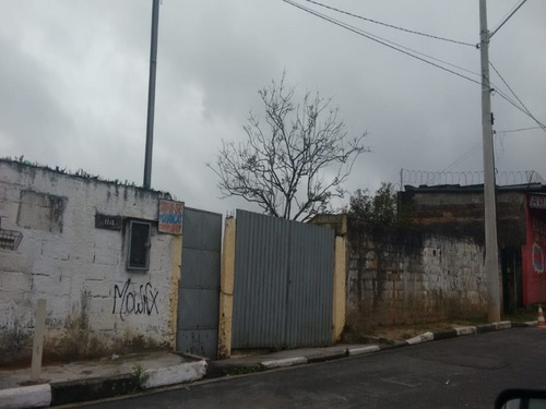 Imagem 5 de 7 de Terreno - Te00035 - 67841785