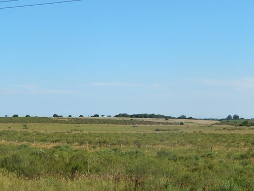 Campo En Venta En Canelones, 102 Hectáreas.