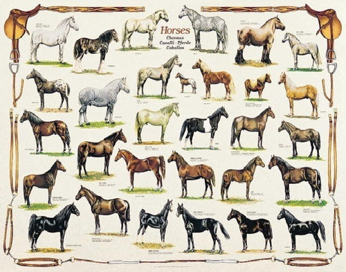 Puzzle Ricordi Art Stone 00013 Horses 1000 Pz Milouhobbies