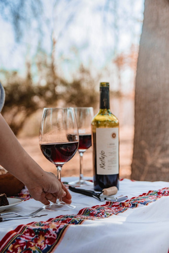 Reflejo De Mi Tierra Reserva Tinto Malbec 750ml Pack X6