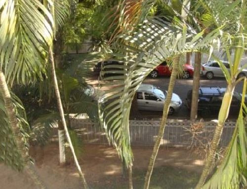 Imagem 4 de 11 de Casa - Rio Branco - Ref: 194843 - V-cs31002795