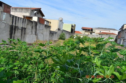 Imagem 6 de 7 de Terreno Para Venda, 0.0 M2, Vila Bruna - São Paulo - 1106