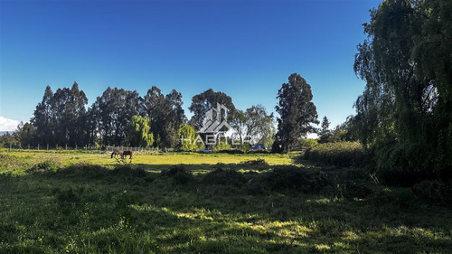 Oportunidad! Parcela Plana En Venta En Zapallar Curicó Km 4