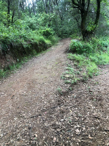 Terreno Residencial En Venta En Transfiguración