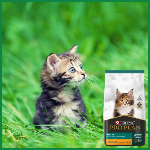 Alimento Pro Plan OptiStart Kitten para gato de temprana edad sabor pollo y arroz en bolsa de 7.5 kg