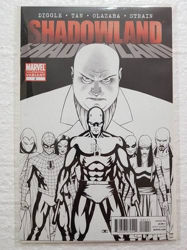 Shadowland (2010) #2d Variant Cover Issue Comics Marvel