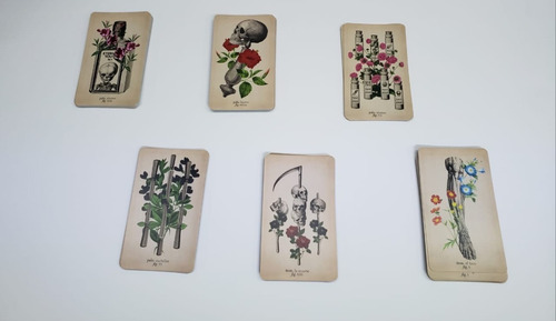 Imagen 7 de 8 de El Tarot De Anatomía Y Botánica Antigua (libro + Cartas)