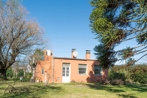 Imagen 4 de 30 de Chacra En Venta - Tandil