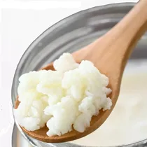 Comprar Kefir Gusanito, Búlgaros, Hongos Leche(cosecha 1taza Xdía)