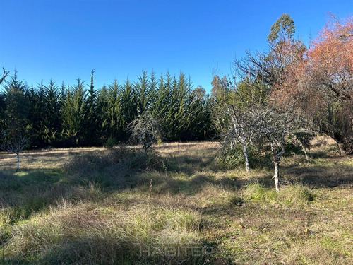 Arriendo Sitio Urbano Comercial 5.000 M2 Sector Patagual
