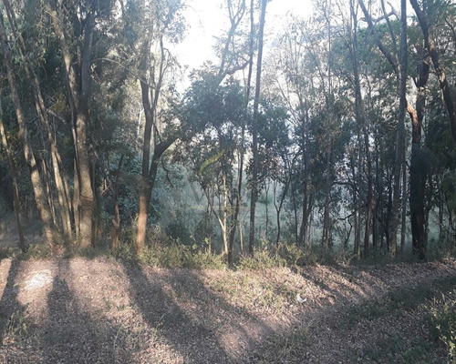 Imagem 16 de 22 de Chácara Na Represa À Venda Em Bragança Paulista Sp - Ch00042 - 68498907
