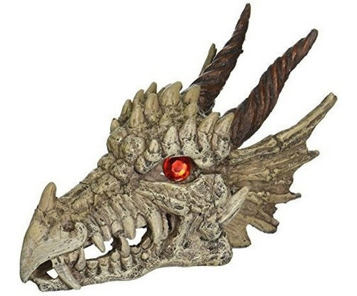 Cráneo Del Dragón De Penn Plax
