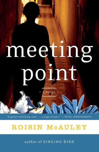 Libro:  Meeting Point: A Novel