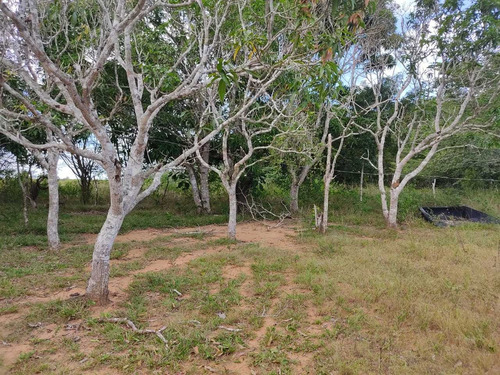 Se Vende Finca En Aribi, Via Al Sur De Monagas Ve02-554vs-dced