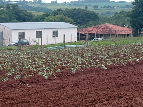 Sítio 5,5 Alqueires Rico Em Agua,localização Nobre,2 Casas Boas,4 Dorms Cada,4 Kms Do Asfalto,terra Fértil,vermelha,muitas Benfeitorias - St00053 - 69181042