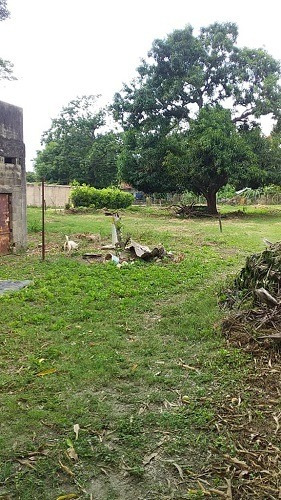 Imagen 2 de 9 de Asein420 Vende Excelente Terreno En Yagua Sector El Cabrito