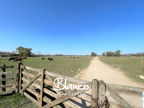 Lote  En Venta En Chacras De Robles, Exaltación De La Cruz, G.b.a. Zona Norte, Argentina